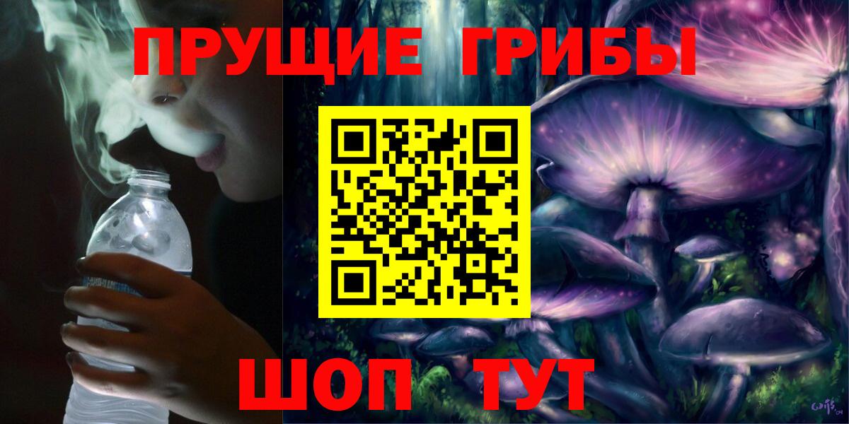 Грозный  Галлюциногенные грибы Magic Shrooms  Псилоцибиновые грибы GOLDEN TEACHER  купить   Вход с VPN 